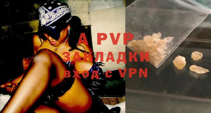 A PVP СК КРИС  Великий Устюг 